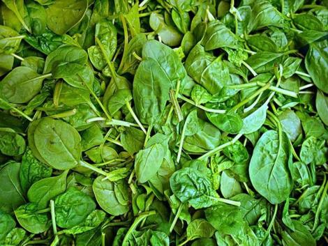 Primőrdömping a piacokon: megjelent a hazai karfiol, a spenót, a csomós répa és a petrezselyem Primőrdömping a piacokon: megjelent a hazai karfiol, a spenót, a csomós répa és a petrezselyem
