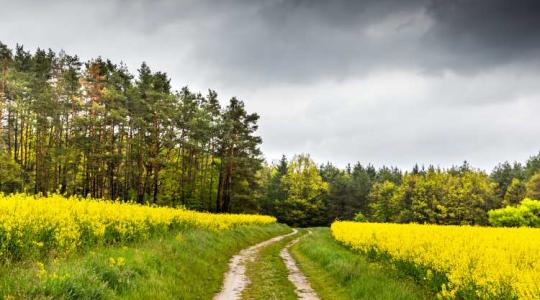 3 napos időjárás-előrejelzés: fordulat a láthatáron!