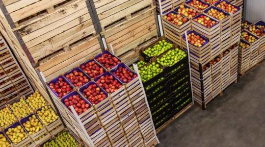 Hegyekben áll az alma: a lengyelek megoldása úgy tűnik, működőképes