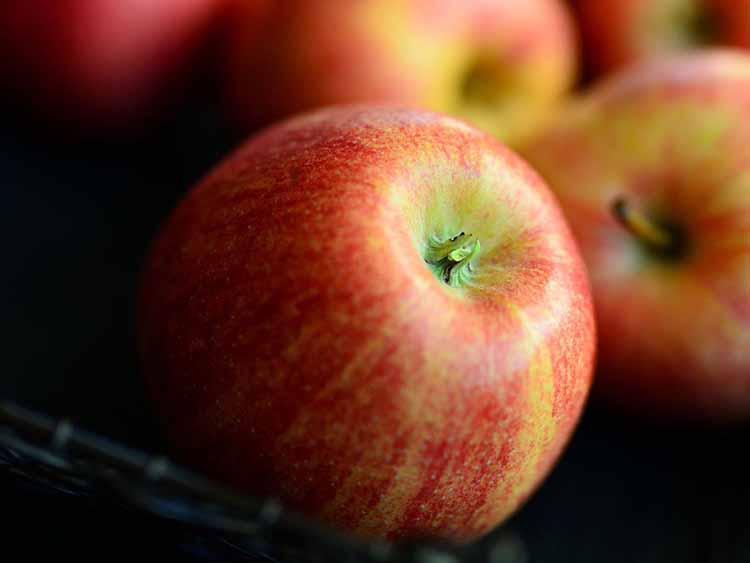Váratlanul emelkedni kezdett az alma, a körte és más gyümölcsök ára
