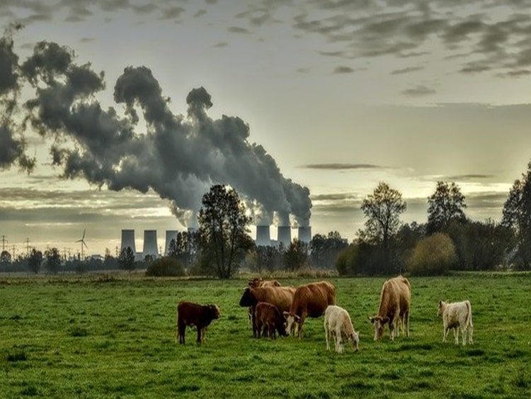 szén-dioxid