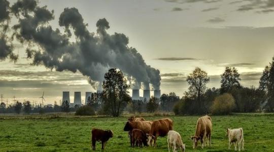 Tudj meg mindent a szén-dioxid gazdálkodásról! 