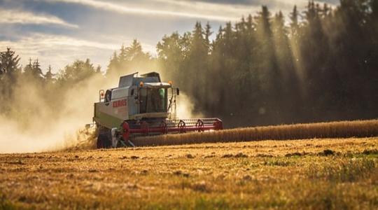 A gabonaárak további emelkedése várható – mutatjuk, hogy miért