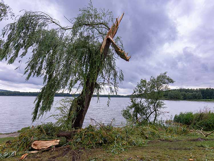 Az éjszakai vihar által megtépázott fűzfák a Kis-Balatonnál, a Zalavárt és Zalaszabart összekötő töltésen, Zalavár közelében 2022. június 8-án.
