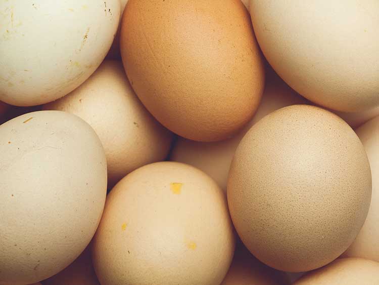 A tyúkok étrendjétől függ, milyen vitaminban gazdag a tojásuk