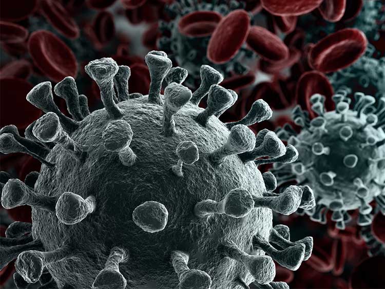 Németországban elindult a koronavírus-járvány újabb hulláma