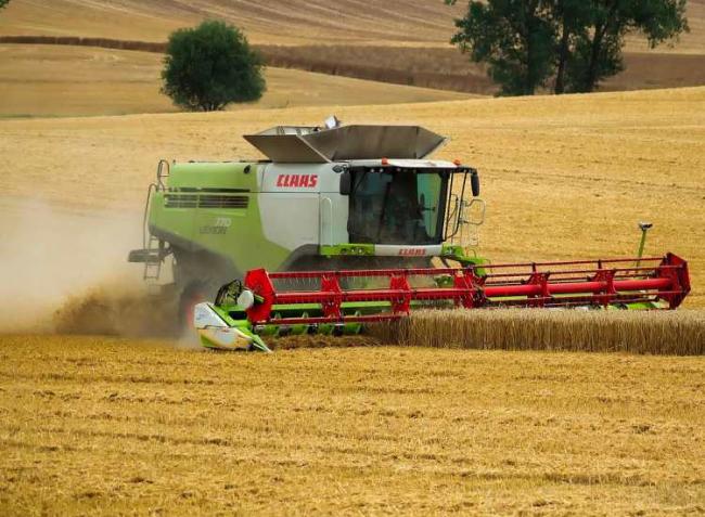 Az agrárminiszter szerint most véget ér a gabonaárak emelkedése