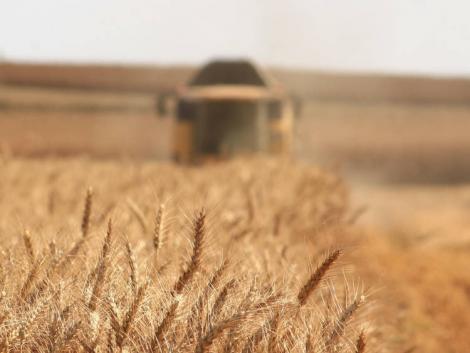 Növekvő ukrán gabonaexport a háború közepén? Ezt hogy csinálták?
