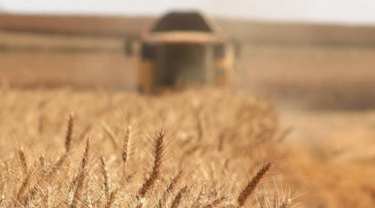 Növekvő ukrán gabonaexport a háború közepén? Ezt hogy csinálták?