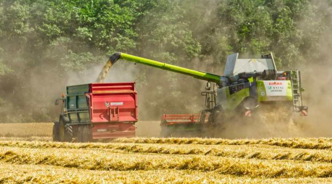 Aratás, termésvárakozások, terményárak – mire számíthatnak a magyar gazdák? 