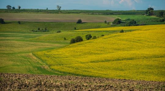 Ekkora kárt okozott eddig az ukrán mezőgazdaságnak a háború