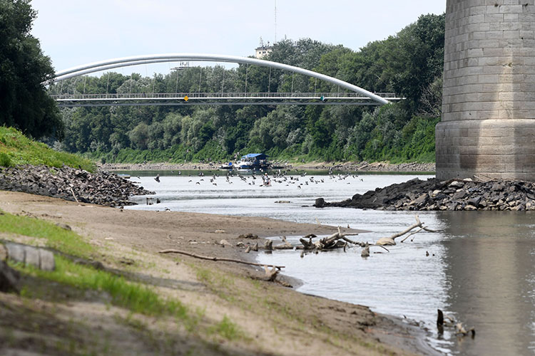 Galambok repülnek a víz fölött Szolnoknál, ahol a csapadékhiány miatt a Tisza alacsony vízállása -280 centiméterrel új negatív rekordot ért el 2022. július 7-én. MTI/Mészáros János