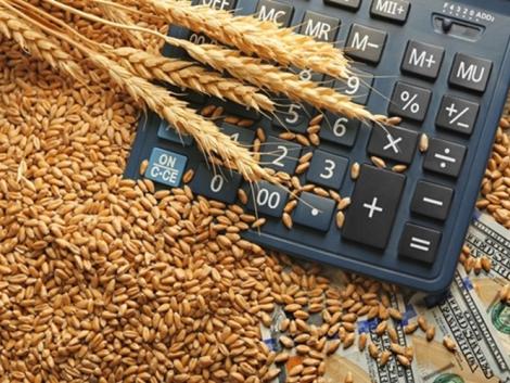 Az ukrán gabonaexport lehetségesnek látszik – a terményárakra is komoly hatással van