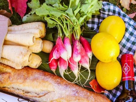 Pápai Expo és Agrárpiknik – az év legmenőbb agrárrendezvénye!