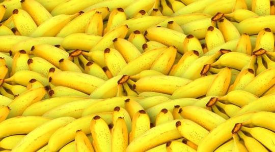 Búcsút vehetünk a banántól? Végveszélyben az egyik kedvenc gyümölcsünk
