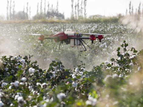 Átadták a 2020. évi Agrár és Környezetvédelmi Innovációs Díjakat Átadták a 2020. évi Agrár és Környezetvédelmi Innovációs Díjakat