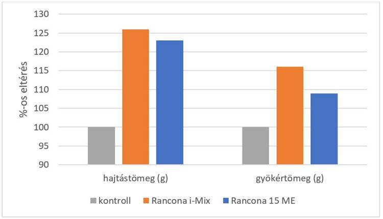 A hajtás és a gyökértömeg növekedés a Rancona i-Mix (narancssárga) és a Rancona 15 ME (kék) szisztemikus fungicid csávázószerek hatására a kezeletlen kontrollnövényekhez (szürke) viszonyítva 