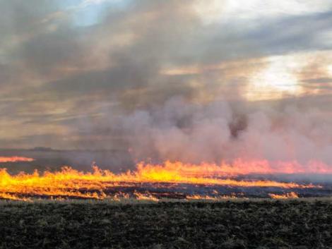 Pusztító tüzek a mezőgazdasági területeken – mutatjuk, miért érdemes bejelenteni a kárt
