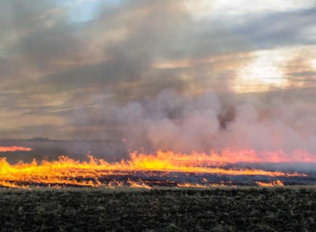 Pusztító tüzek a mezőgazdasági területeken – mutatjuk, miért érdemes bejelenteni a kárt