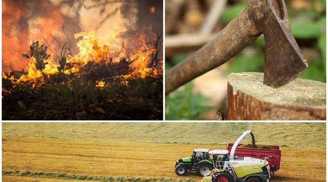 Pusztító tüzek, kedvező adóváltozások, hatalmas vita a fakitermelés körül