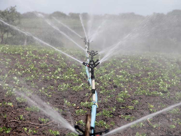 Idén az év első hét hónapjában a mezőgazdasági vízszolgáltatás keretében ténylegesen szolgáltatott vízmennyiség jóval meghaladta a korábbi években felhasználtat