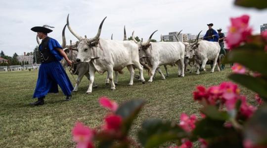 FARMER-EXPO – itt a részletes program, 2022. augusztus 17. szerda