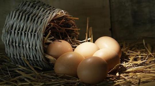 A nagy tojásdilemma: a ketreces vagy a mélyalmos éri meg jobban?