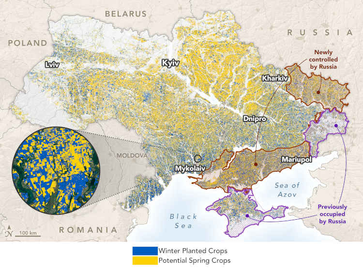 A Planet Labs műholdjainak és az Európai Űrügynökség Sentinel-2 küldetésének adatain alapuló térképet a NASA Harvest dolgozta fel és elemezte, és a a nyári és őszi termények megoszlását mutatja Ukrajnában 2022. június 13-án. A térképen az is látható, hogy hol tevékenykedtek szabadon a gazdák, és hol voltak orosz ellenőrzés alatt. Kép: NASA