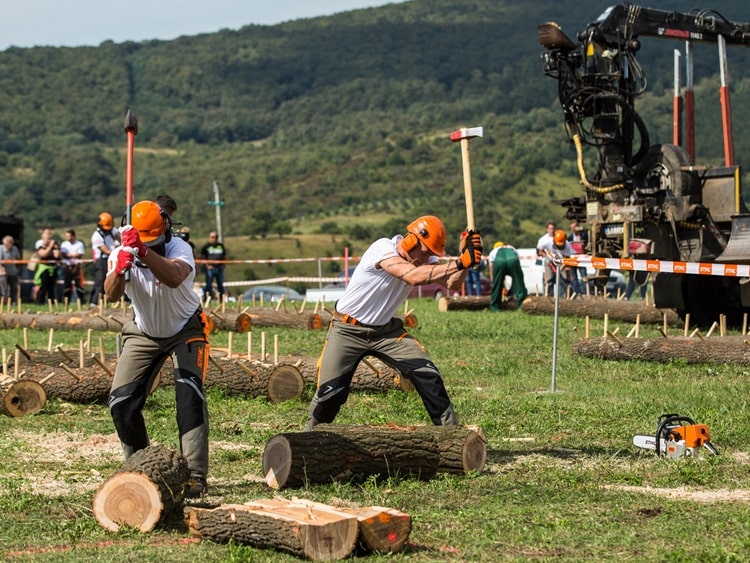 fakitermelő verseny