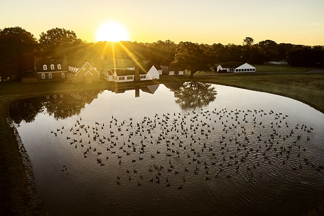 tó házak madarak naplemente