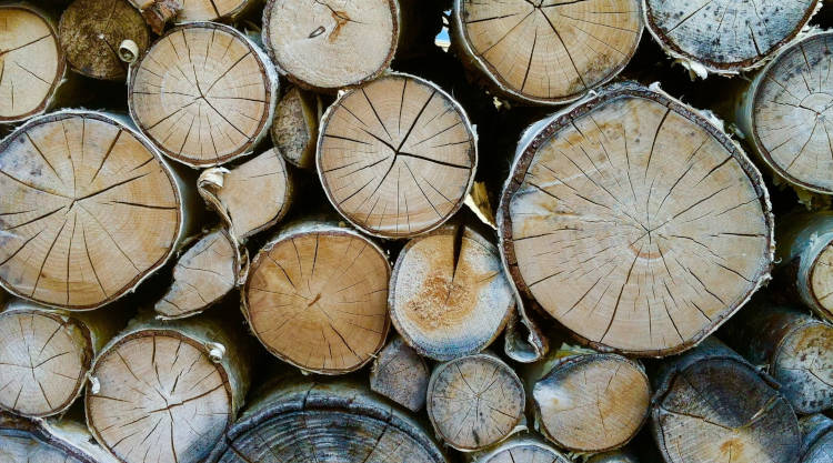 A szabályok könnyítése részben felülírta az erdő- és természetvédelmi törvényt  és a gyorsabb fakitermelés érdekében felfüggesztett néhány eddigi természetvédelmi szabályt.