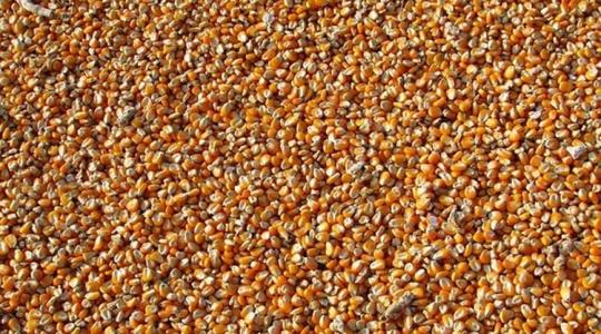 Árcsökkenés, áremelkedés: kiszámíthatatlan a gabonapiac, de hol tartunk most?