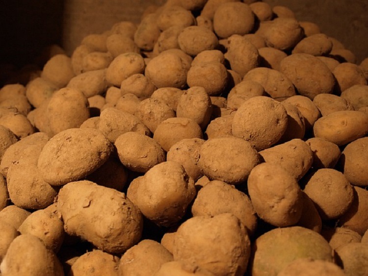 burgonya krumpli pincében 