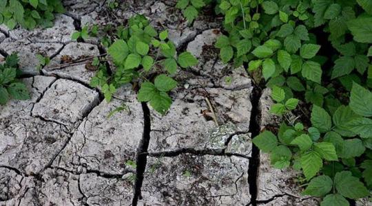 Hogyan csökkenthető a talajerózió a neszmélyi borvidéken?