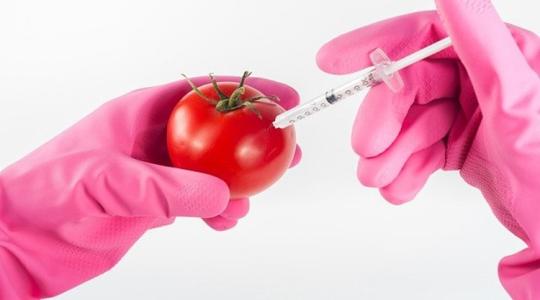 Valóban jöhetnek a génmódosított élelmiszerek?
