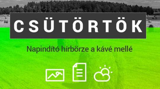 Búza és kukorica árak, kártevők és gyomok a repcében, tejtermékek drágulása – hírek csütörtökön