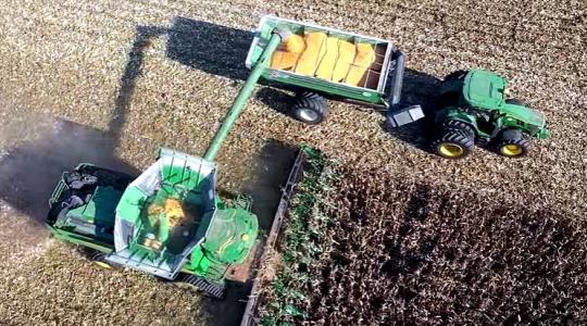 Érdemes kitartani a kukorica mellett – Videó