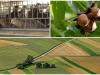 Így védd meg a diót, egy magyar állattartó sikertörténete, így indíts jövedelmező mezőgazdasági vállalkozást