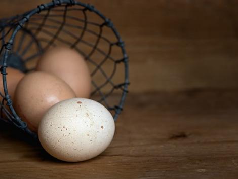 Meddig bírják a magyar tojástermelők a hatalmas importnyomást? 