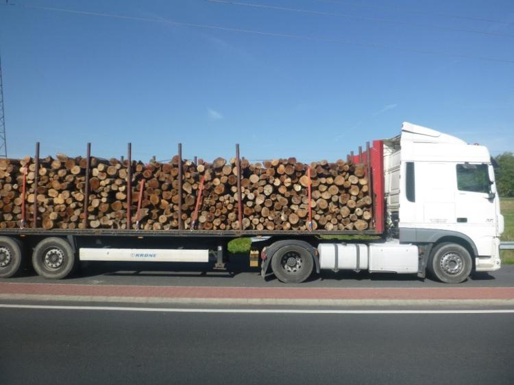 rönkfa szállítás