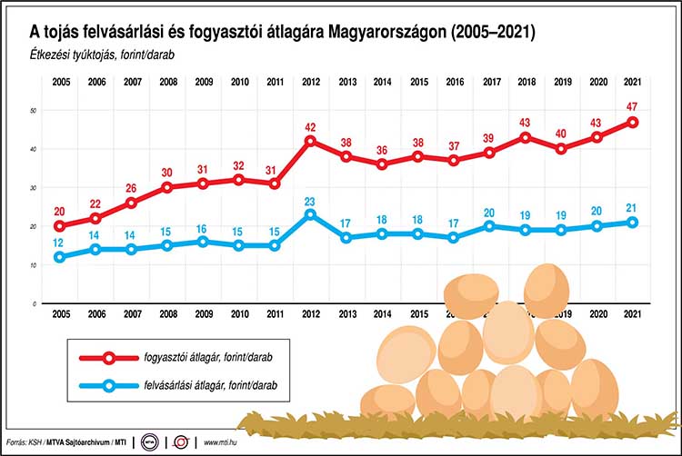 A tojás felvásárlási és fogyasztói átlagára