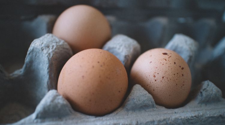 Az első 100 000 eladott étkezési tojás után Európa többi részét is meg akarják hódítani.