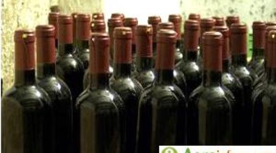 Indul a borpiaci reform második szakasz