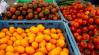 Félmilliárd forintos áfacsalás egy zöldség-gyümölcskereskedő hálózatnál