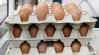 Lengyel tojást az ünnepekre? Veszélyben a hazai termelők pozíciója