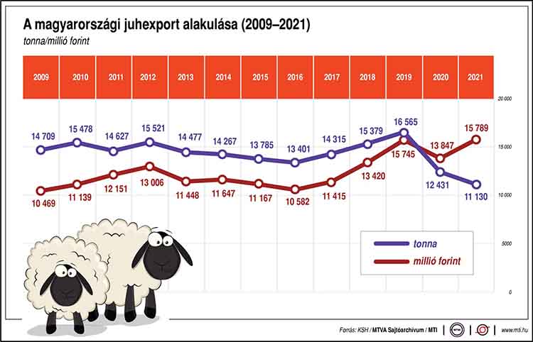 A magyarországi juhexport alakulása