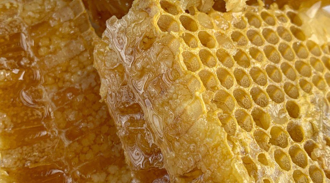Egekben a méz ára, a termelők a csőd szélén, de lehet megoldás