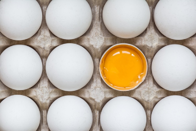 tojás fehérje sárgája