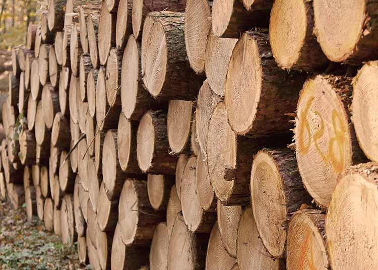 A magán erdőgazdálkodók elsősorban a tüzépek faanyaggal történő kiszolgálására koncentrálnak