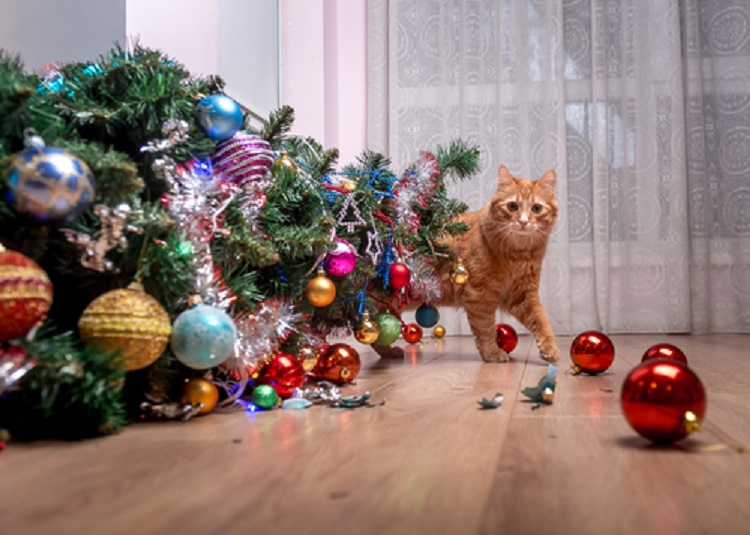 macska felborult karácsonyfa